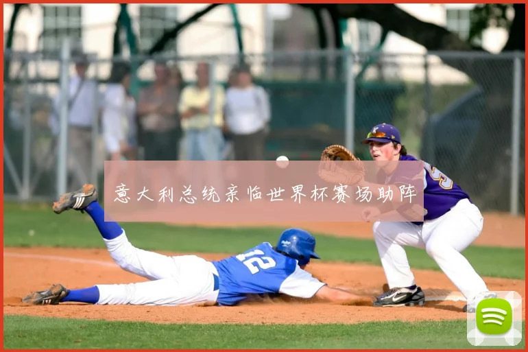 意大利总统亲临世界杯赛场助阵