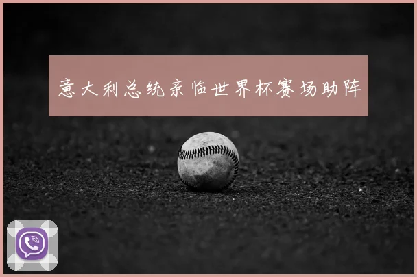 意大利总统亲临世界杯赛场助阵